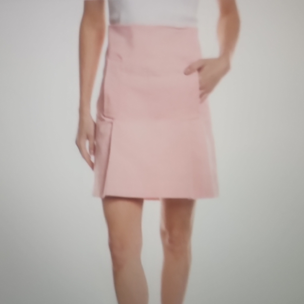 Salvatore Ferragamo Light Pink Mini Skirt